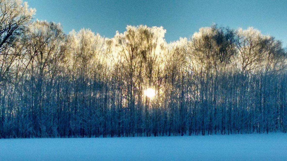 Chalupa Nad Popelkou Lomnice nad Popelkou ภายนอก รูปภาพ