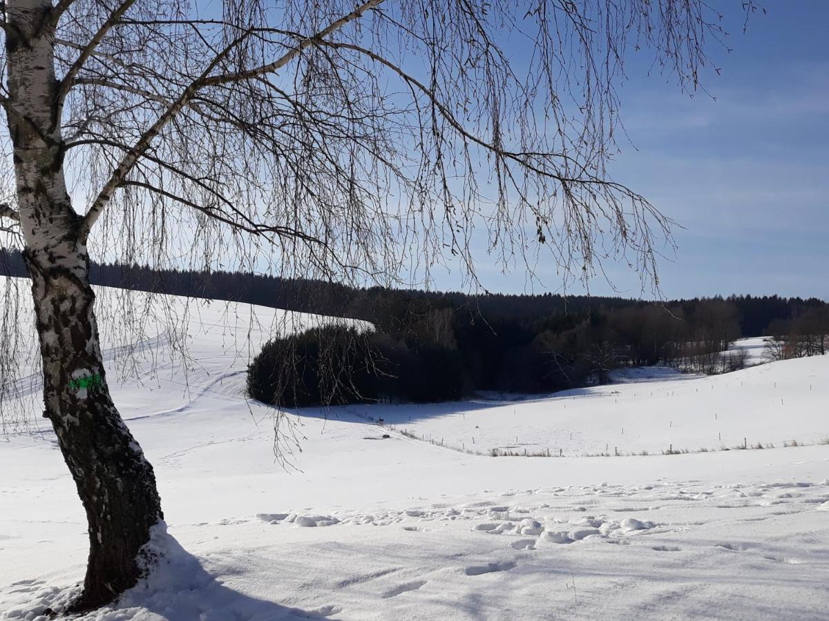 Chalupa Nad Popelkou Lomnice nad Popelkou ภายนอก รูปภาพ